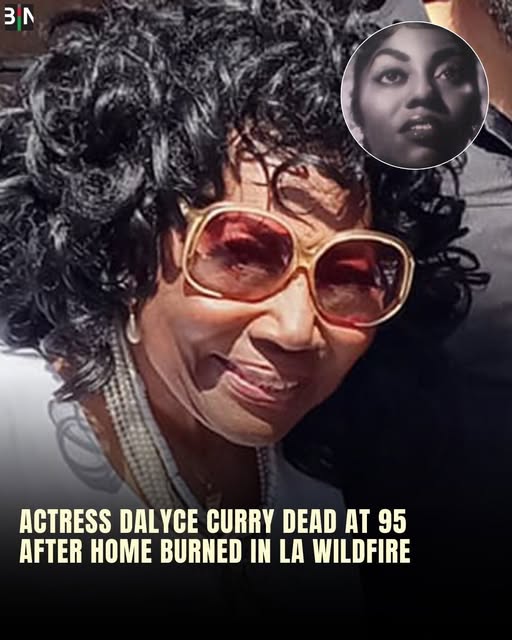 Blues Brothers actress Dalyce Curry dies in LA wildfires