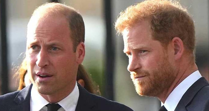 HARRY AND WILLIAM ROCKED BY SHOCK FAMILY DEATH