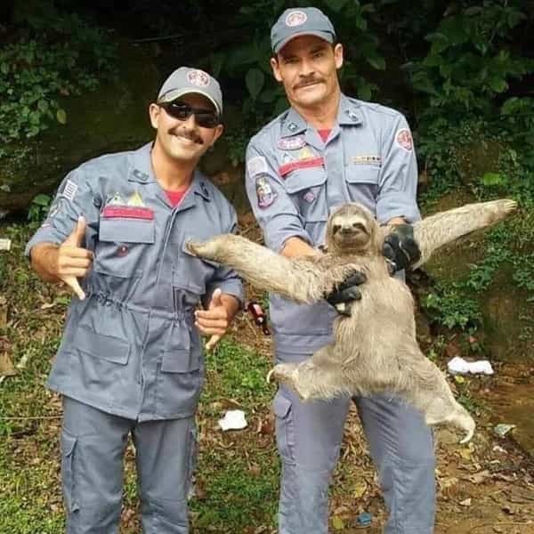 30 Weird images you could only find on the internet s2