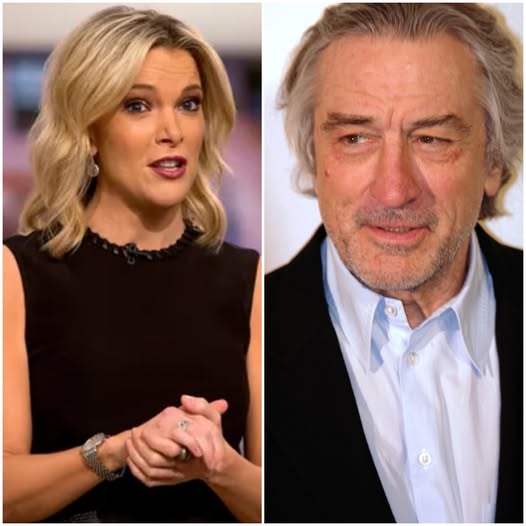 Robert De Niro Silences Megyn Kelly Live On Air With Eight Chilling Words—Fans Say They’ve Never Seen Her So Speechless