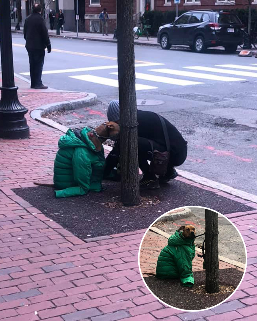 Woman gives her dog her jacket to keep him warm while he waits outside