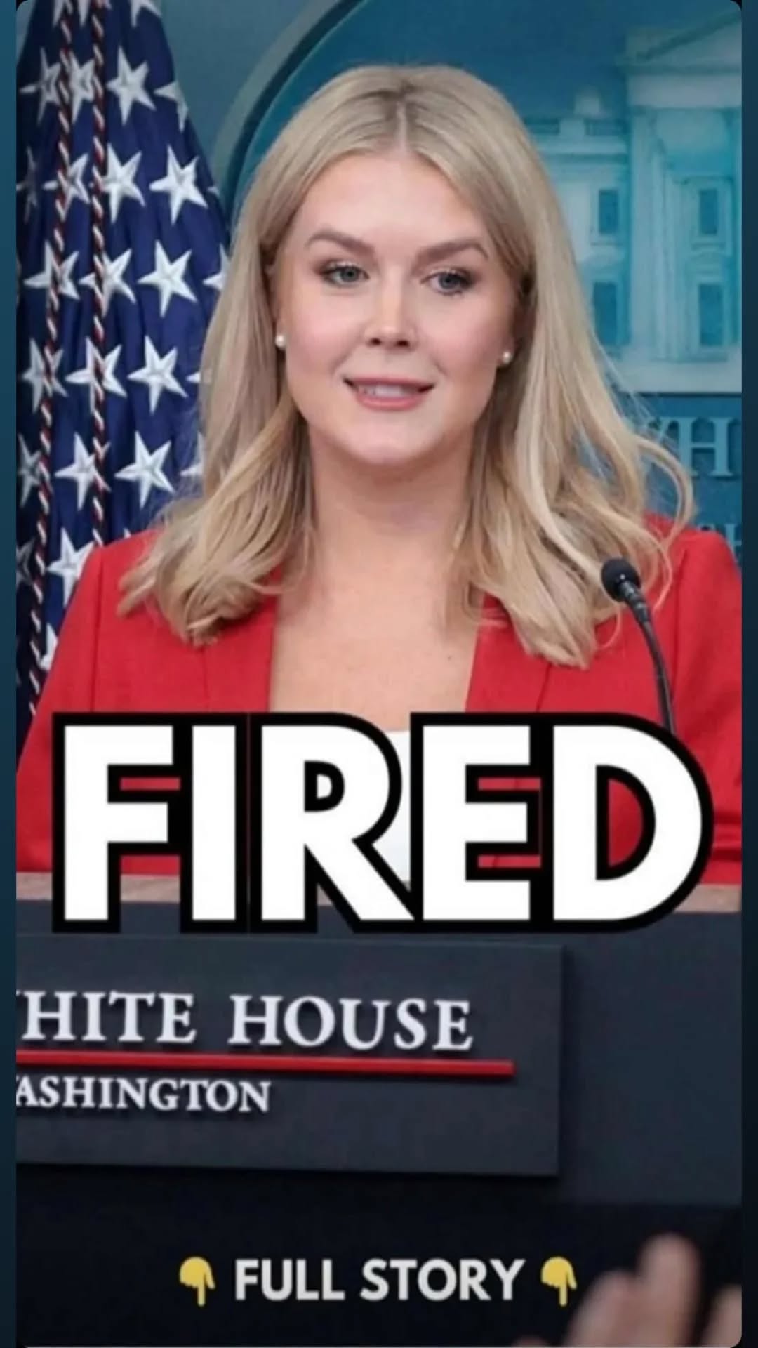 FEMA Boss Fired After