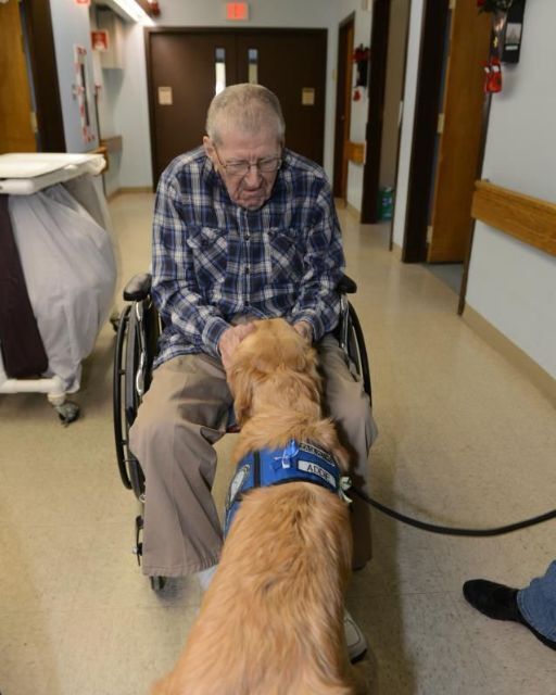 HE HADN’T SPOKEN IN WEEKS—UNTIL THE DOG SAT IN FRONT OF HIM