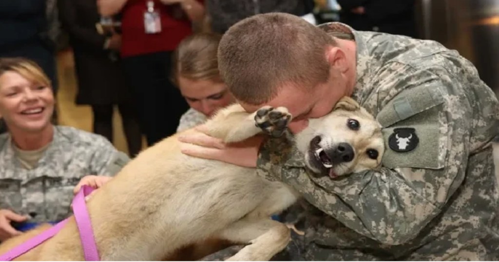 Old Dog Cries tears of joy at Owner’s return from W.a.r!