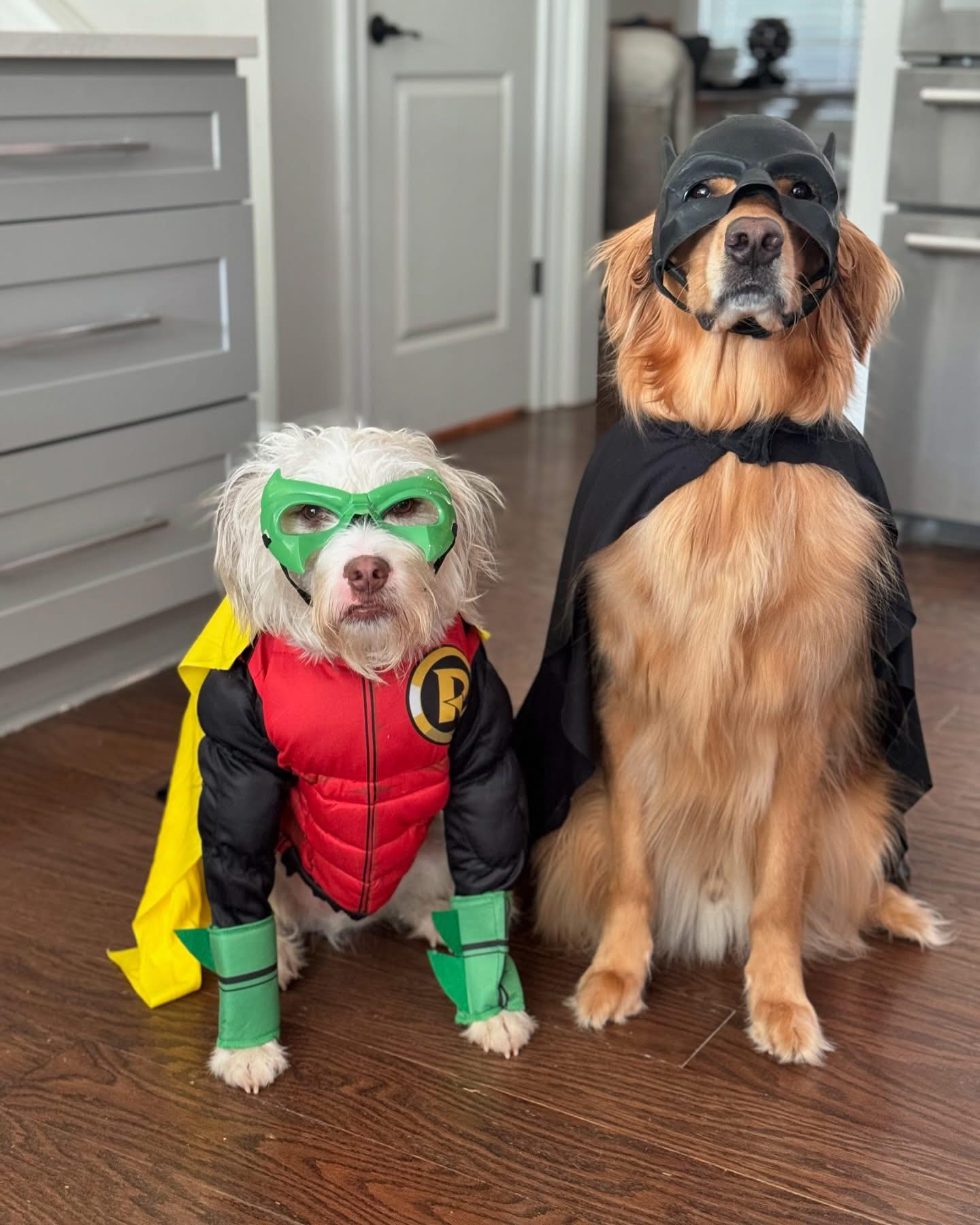Eating treats during the day, fighting crime during the night.