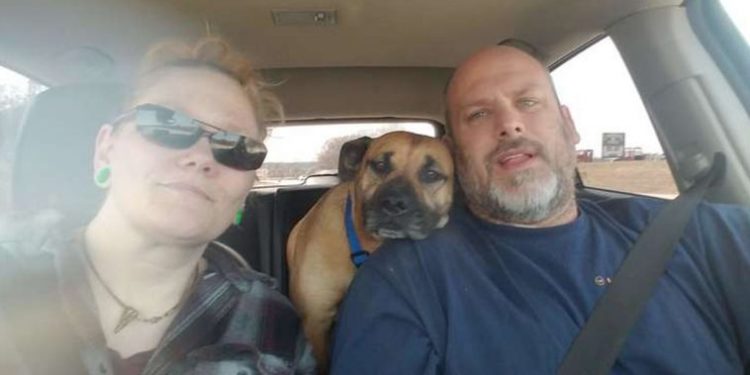 Man Leaves Car door open at Gas Station, Stray Dog Sneaks in the Car and Asks to be Adopted!