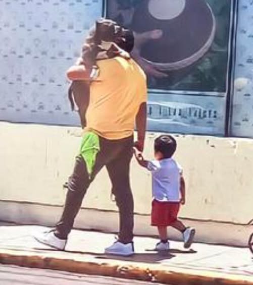 Dad praised for carrying his dog instead small son