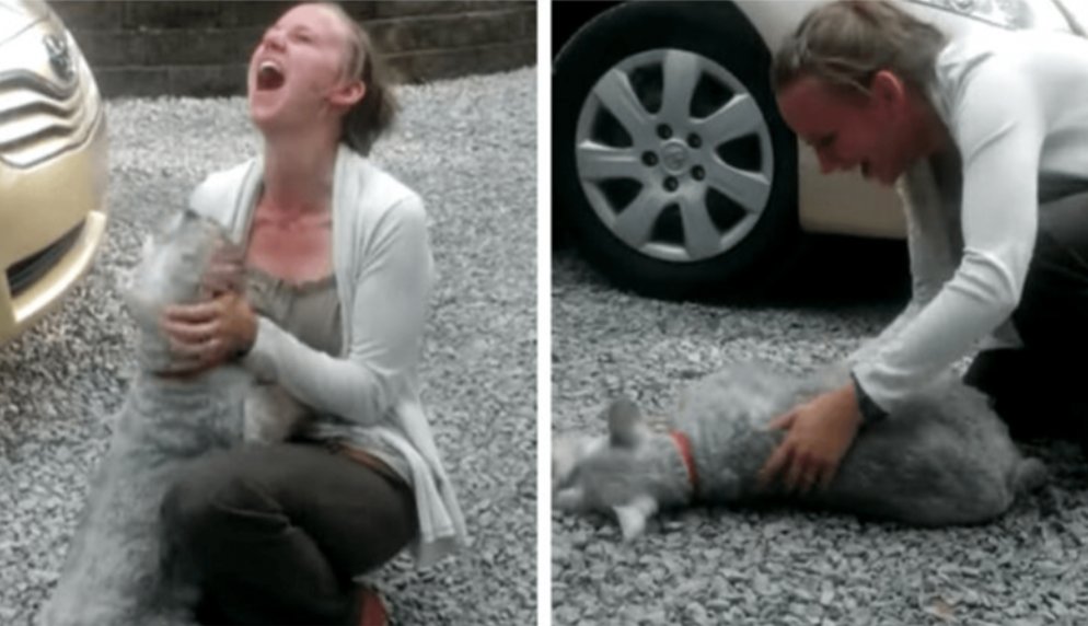 Long lo.st Dog reunited with Owner and he pa.ss.ed out from excitement…!