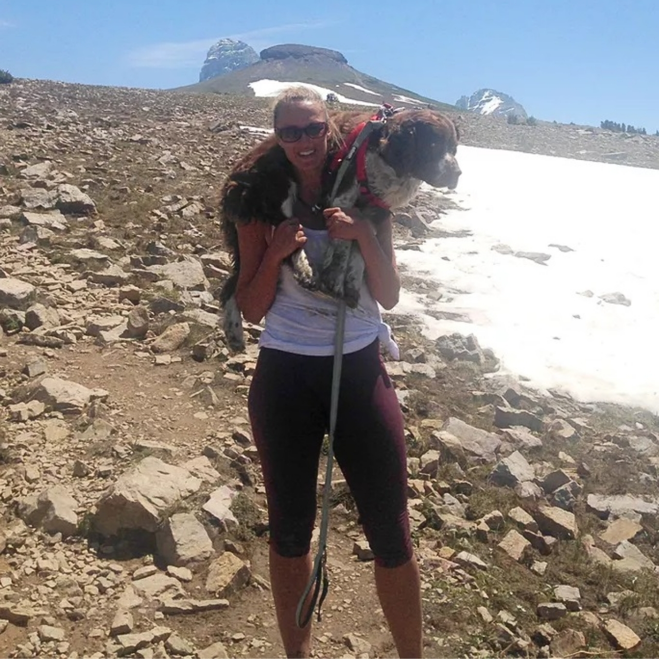 Heroic Hiker Carries Injured Dog Down Mountain in a Heartwarming 7-Mile Rescue