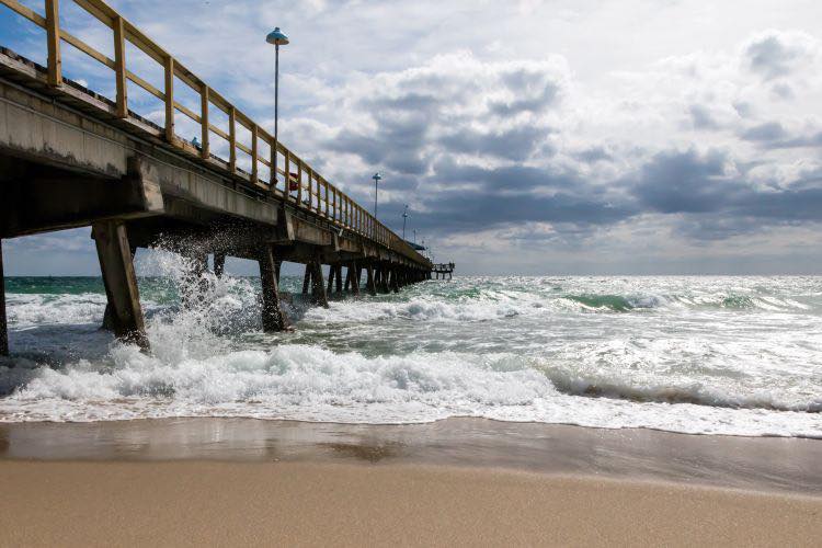 FLESH-EATING BACTERIA KILLS 4 IN FLORIDA — HEALTH ALERT ISSUED