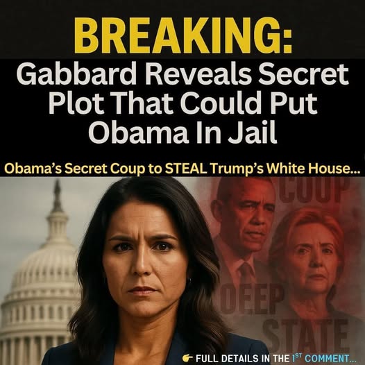 BREAKING, Gabbard Unleashes Evidence of Obamas Secret Coup to STEAL Trump’s White House