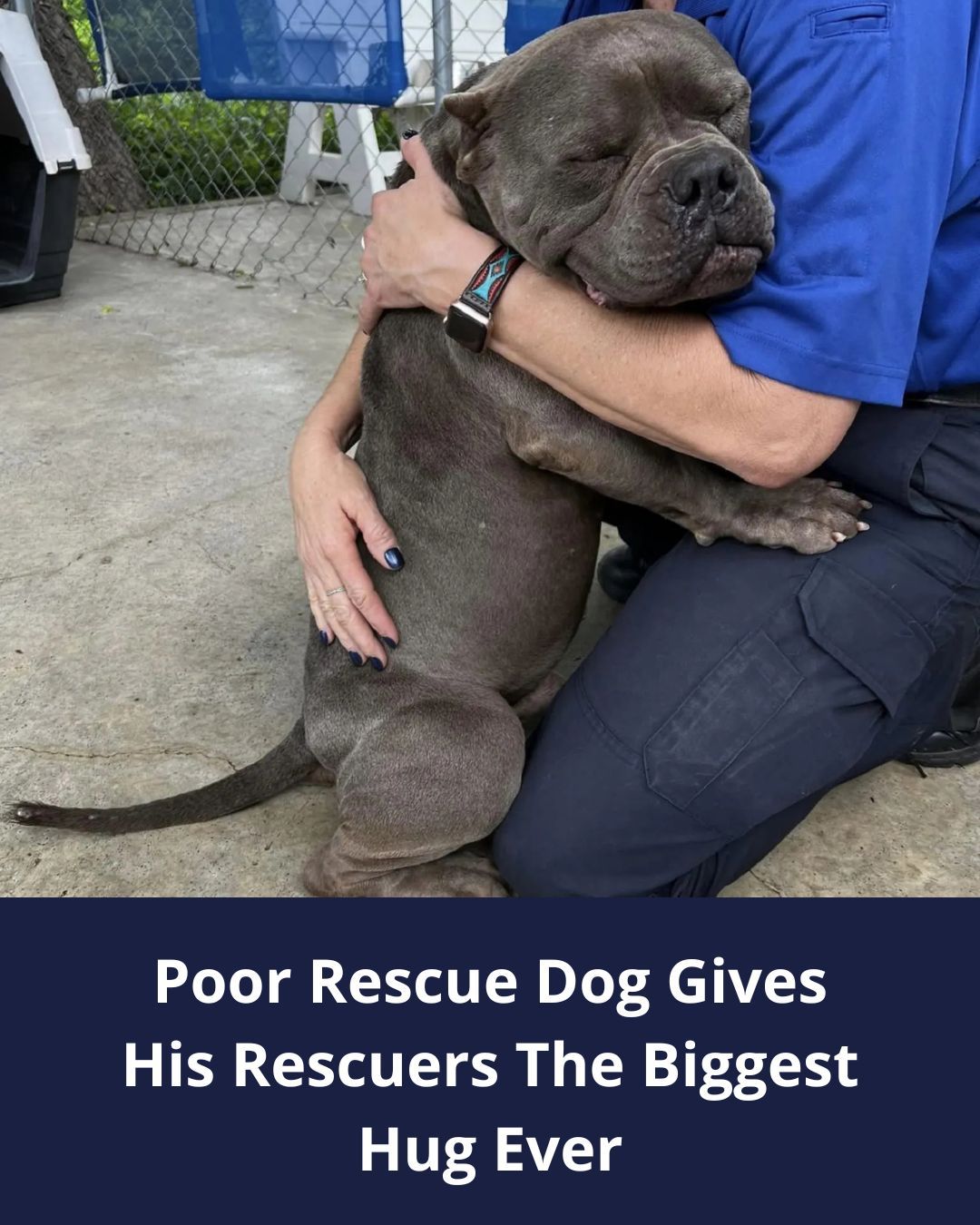 Poor Rescue Dog Gives His Rescuers The Biggest Hug Ever