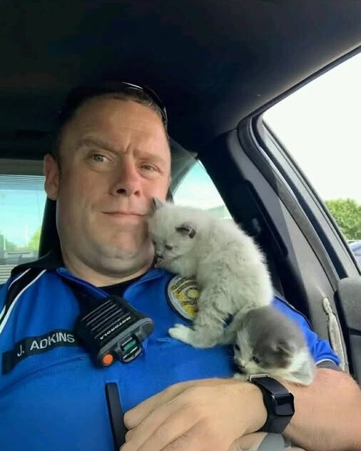 From Parking Lot to Forever Home: How Two Kittens Stole a Cop’s Heart.