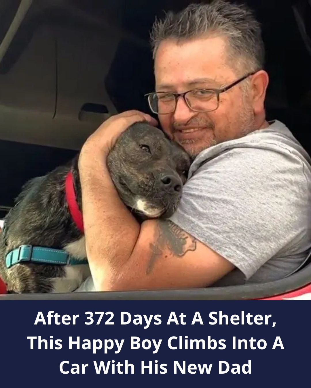 Illinois Pup Who Stayed 372 Days At Shelter Can’t Contain His Excitement When A Hooman Finally Stops At His Kennel