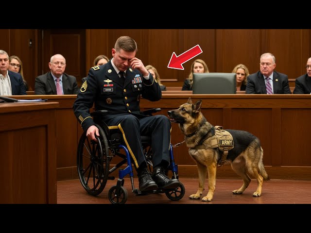 The ex-soldier wanted a final goodbye with his dog in court, but what happened shocked everyone!
