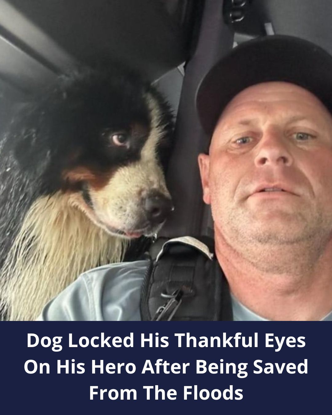 Dog Locked His Thankful Eyes On His Hero After Being Saved From The Floods In Florida