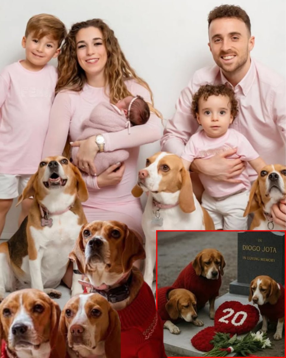 SAD NEW: After Diogo Jota’s sudden passing, his family’s three beloved dogs become visibly sad, refusing to eat for days. The dogs’ actions by Jota’s grave move and heartbreak everyon