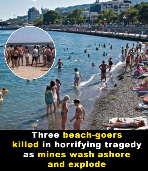 Beach-goers killed when sea mines wash up and explode