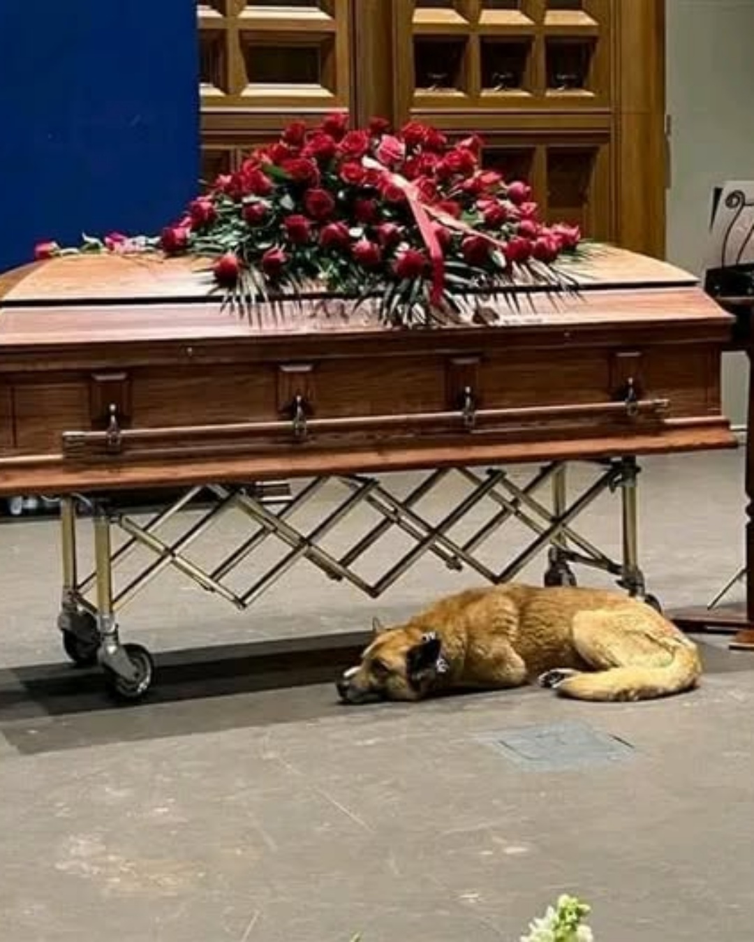 A Loyal Friend at His Final Goodbye