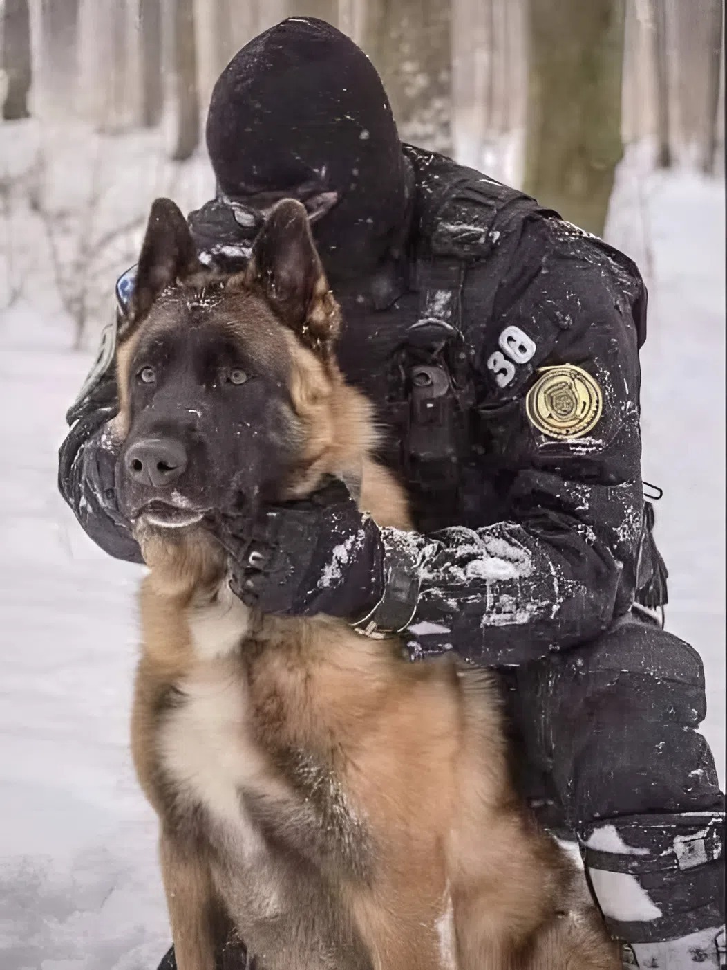 A Brave K9 Took 3 Bullets Protecting His Partner — What Happened After Left the Whole Department Speechless…He didn’t flinch. He didn’t run. In the darkness of last night’s patrol, one police dog made a split-second choice that may have saved a life — and nearly cost him his own. Now, K9 Jethro is clinging to life after taking three bullets in the line of duty. But it’s what happened in the operating room… and how he responded when he woke up… that has officers across the country in tears. What gave this hero the strength to fight back? And why is his story being shared in police departments everywhere?…