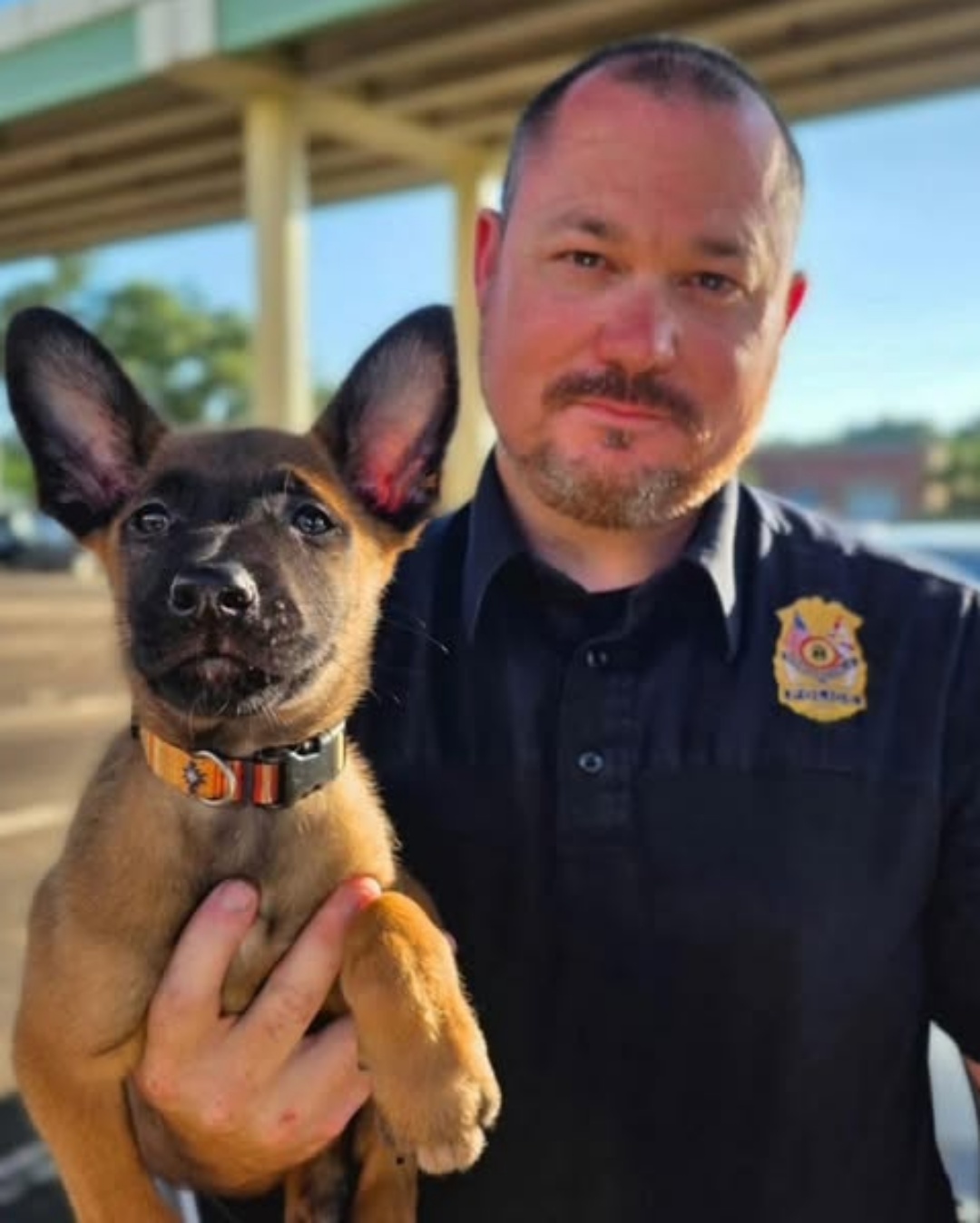 Pfui’s Second Chance: A Puppy’s Journey to Service.