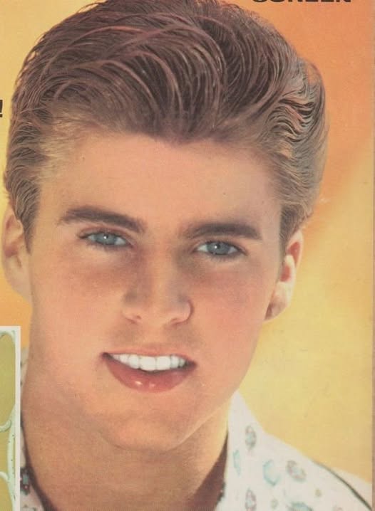 The teen idol of the 50s who saved his twin boys in the mysterious plane accident that led to his own death