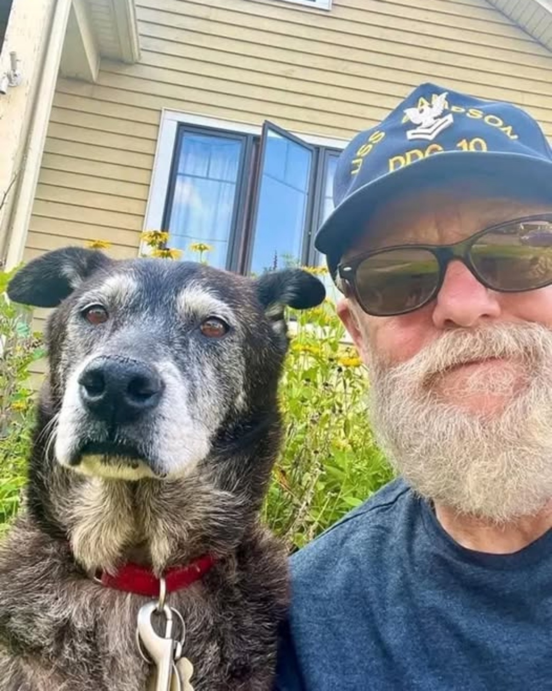 Maxed Out on Love: How One Dog Found His Forever Family.