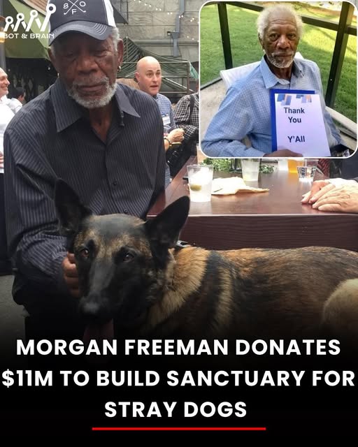 The actor Donated $11 Million to establish a Sanctuary for stray and a.ban.do.ned Dogs!