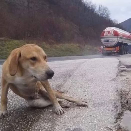 HE LAID MOTIONLESS UNDER RAINING BESIDE THE HIGHWAY ROAD DESPERATE WAITING FOR HELP