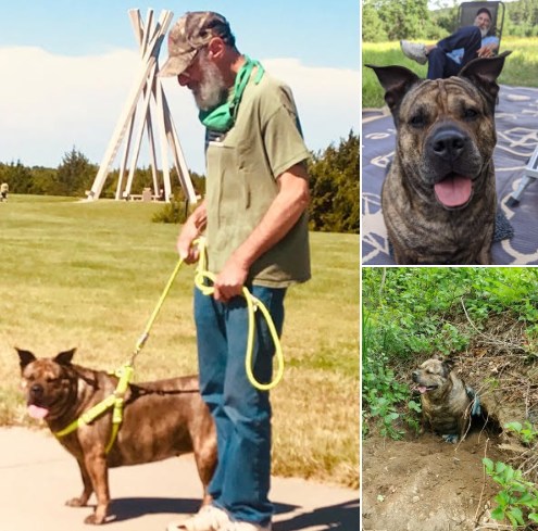 Man’s dying wish is to find a new home for his beloved dog: “Like trying to find a home for your child”