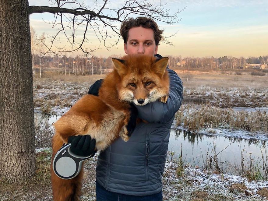 Guy saved a Wild Fox from Fur Farm and they became Best Friends