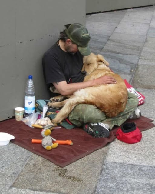 When Love Has No Address: A Homeless Man and His Dogs