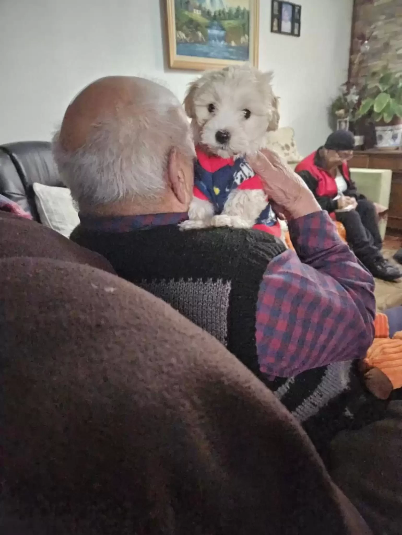 Meet the Puppy Who Gave a 96-Year-Old a Reason to Smile Again