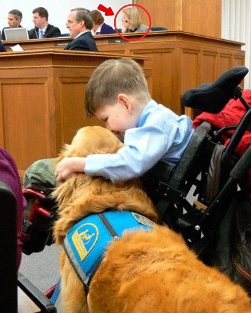 I Brought My Son and His Service Dog to a City Meeting and Changed Everything Unintentionally