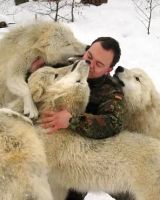 Through the Lens of Devotion: A Photographer’s Lifelong Love Affair with Wolves.