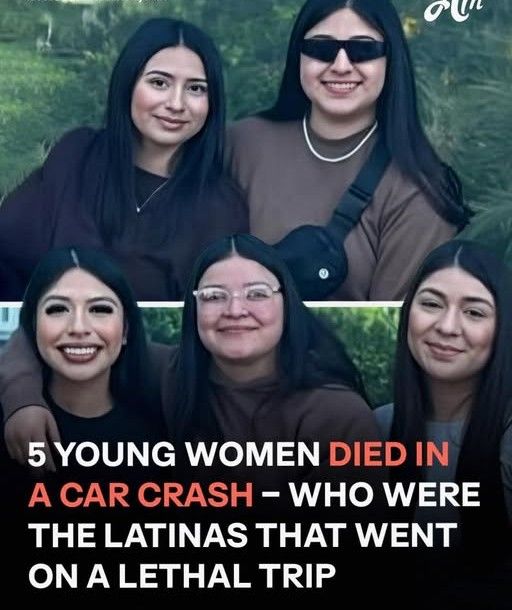 5 School Friends Died in Car Crash: Who They Were, Last Messages from Their Parents, and Details of the Case