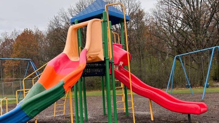 Abandoned Puppies Found Clinging to Each Other on Michigan Playground