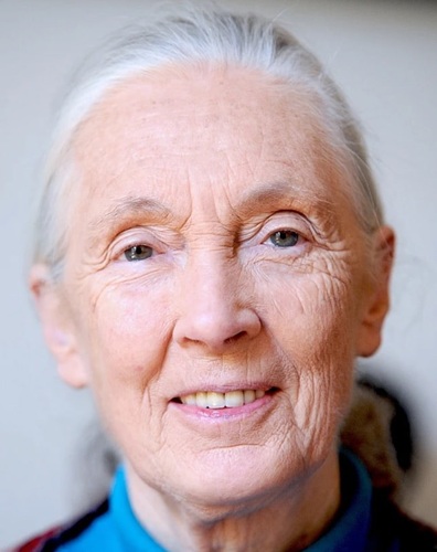 Cause of Death Revealed for Iconic Zoologist Jane Goodall