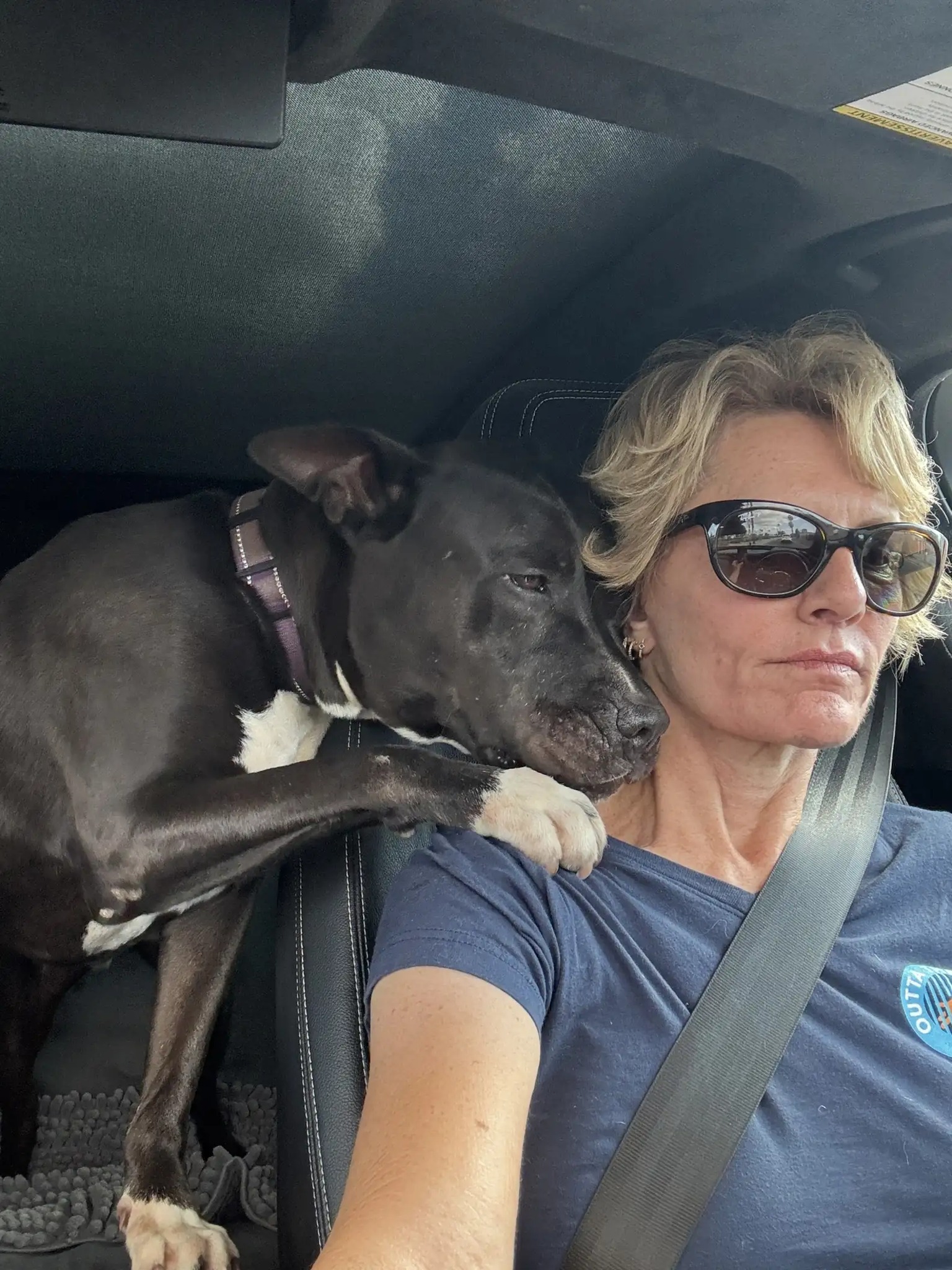 Shelter Dog Comforts His Rescuer After Adoption Falls Through