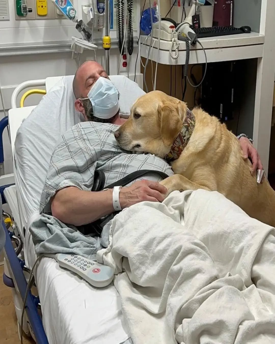  Magnus the Hero Dog: A Tale of Loyalty and Love